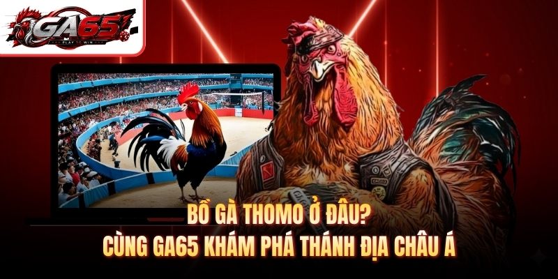 Bồ Gà Thomo Ở Đâu? Cùng Ga65 Khám Phá Thánh Địa Châu Á