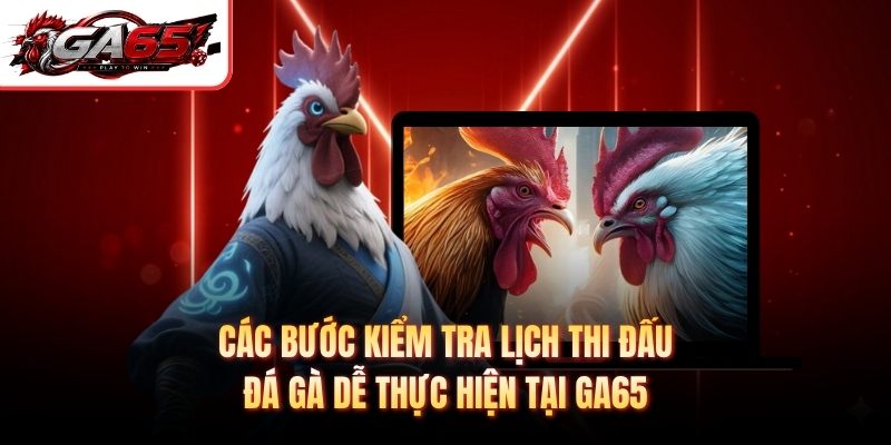 Các bước kiểm tra lịch thi đấu đá gà dễ thực hiện tại GA65