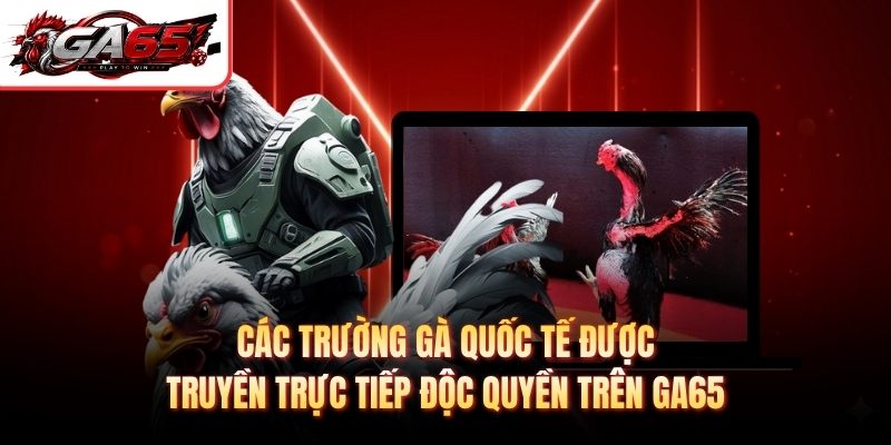 Các trường gà quốc tế được truyền trực tiếp độc quyền trên GA65