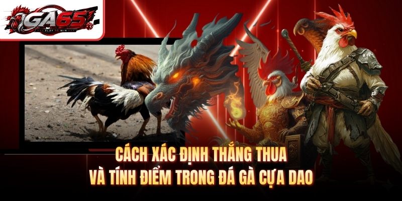 Cách xác định thắng thua và tính điểm trong đá gà cựa dao