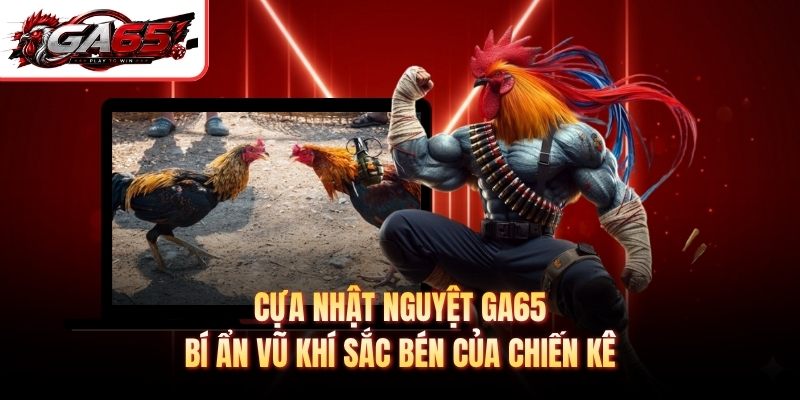 Cựa Nhật Nguyệt GA65 - Bí Ẩn Vũ Khí Sắc Bén Của Chiến Kê
