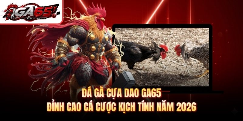 Đá Gà Cựa Dao GA65 - Đỉnh Cao Cá Cược Kịch Tính Năm 2026