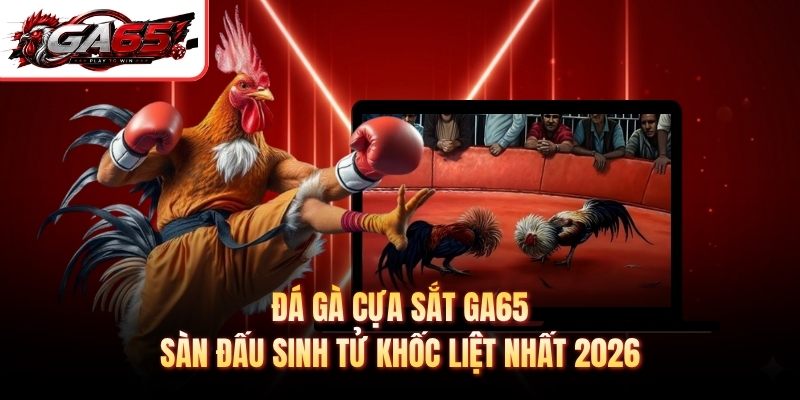 Đá Gà Cựa Sắt GA65 - Sàn Đấu Sinh Tử Khốc Liệt Nhất 2026