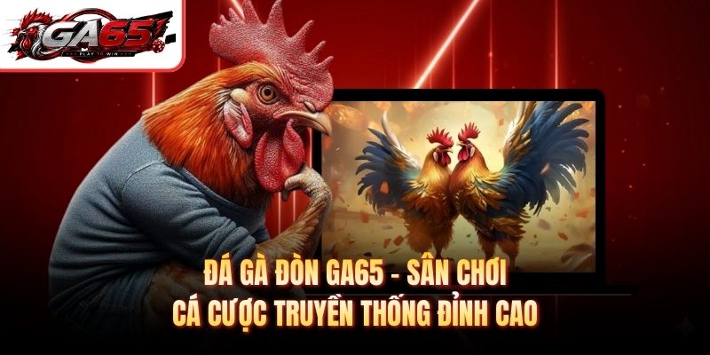 Đá Gà Đòn GA65 - Sân Chơi Cá Cược Truyền Thống Đỉnh Cao