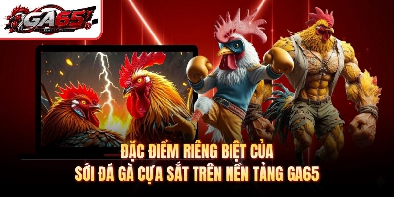 Đặc điểm riêng biệt của sới đá gà cựa sắt trên nền tảng GA65
