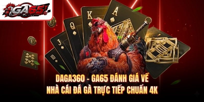 Daga360 - GA65 Đánh Giá Về Nhà Cái Đá Gà Trực Tiếp Chuẩn 4K