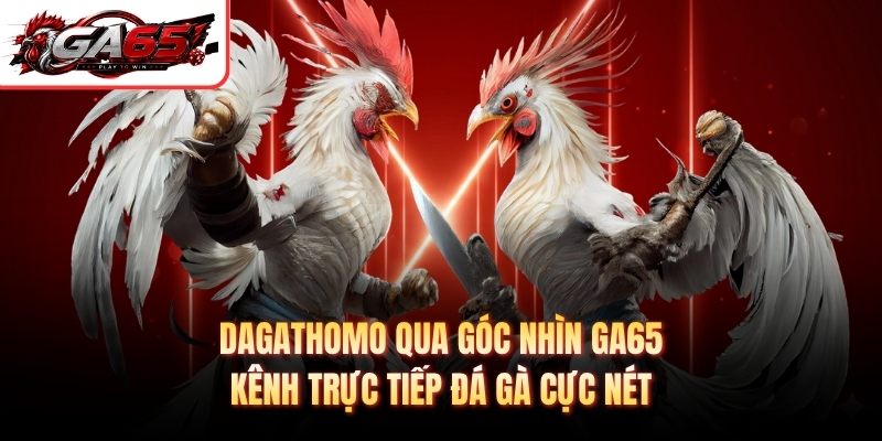 Dagathomo Qua Góc Nhìn GA65 - Kênh Trực Tiếp Đá Gà Cực Nét