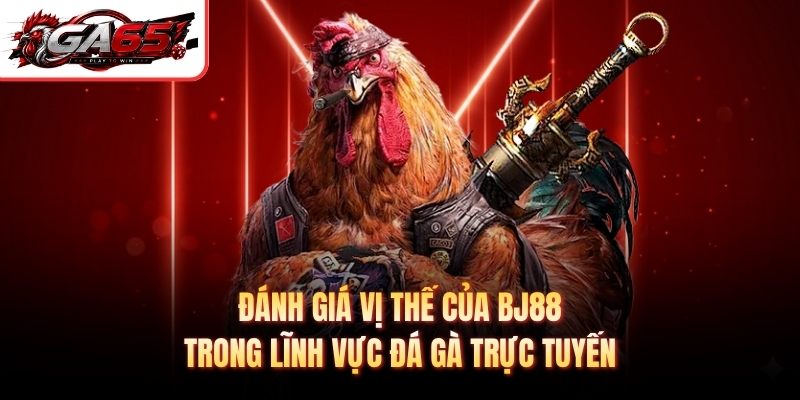 Đánh giá vị thế của BJ88 trong lĩnh vực đá gà trực tuyến