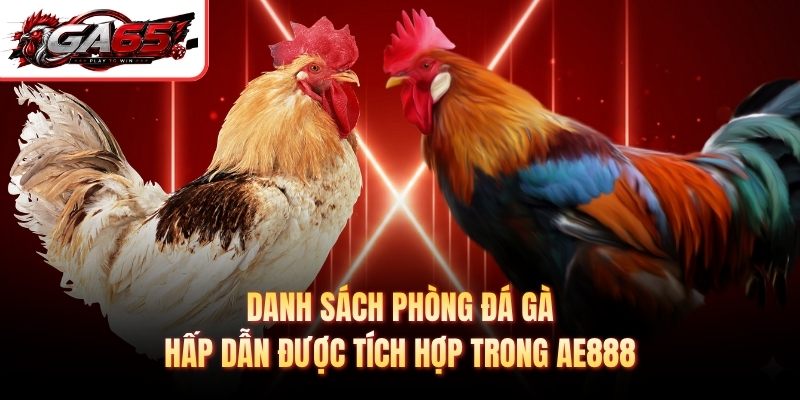 Danh sách phòng đá gà hấp dẫn được tích hợp trong AE888