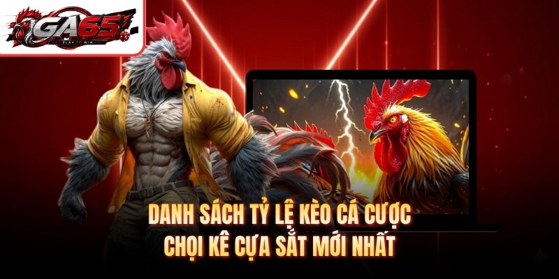 Danh sách tỷ lệ kèo cá cược chọi kê cựa sắt mới nhất