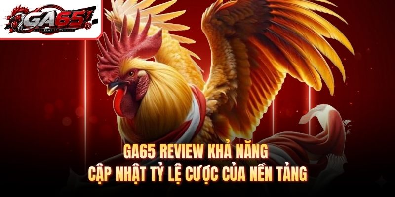 GA65 review khả năng cập nhật tỷ lệ cược của nền tảng