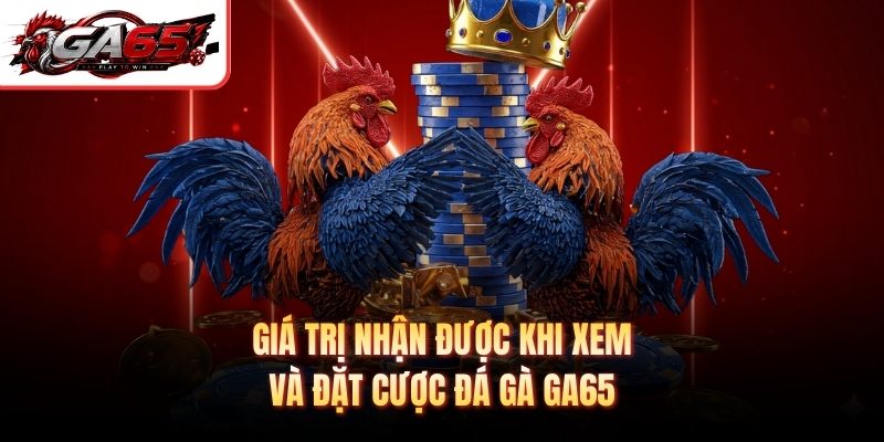 Giá trị nhận được khi xem và đặt cược đá gà GA65