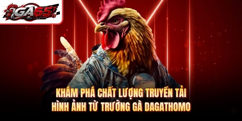 Khám phá chất lượng truyền tải hình ảnh từ trường gà Dagathomo