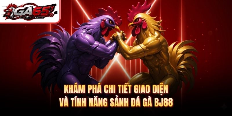 Khám phá chi tiết giao diện và tính năng sảnh đá gà BJ88