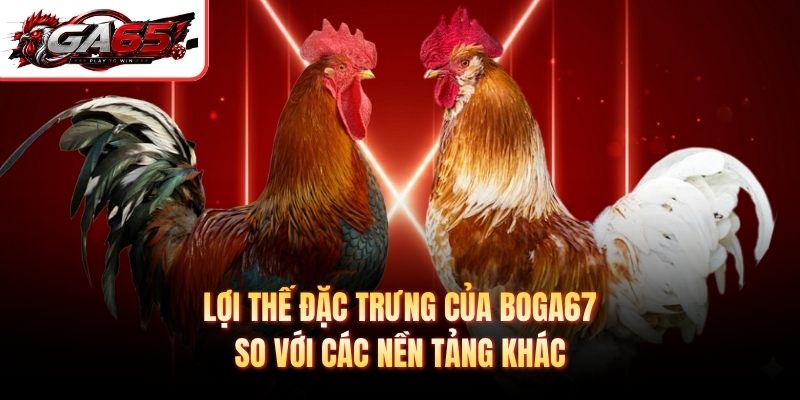 Lợi thế đặc trưng của Boga67 so với các nền tảng khác
