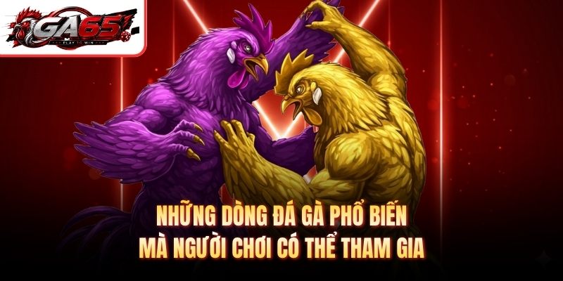 Những dòng đá gà phổ biến mà người chơi có thể tham gia