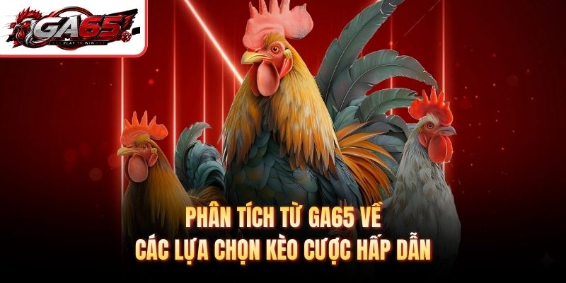 Phân tích từ GA65 về các lựa chọn kèo cược hấp dẫn