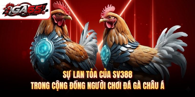 Sự lan tỏa của SV388 trong cộng đồng người chơi đá gà châu Á