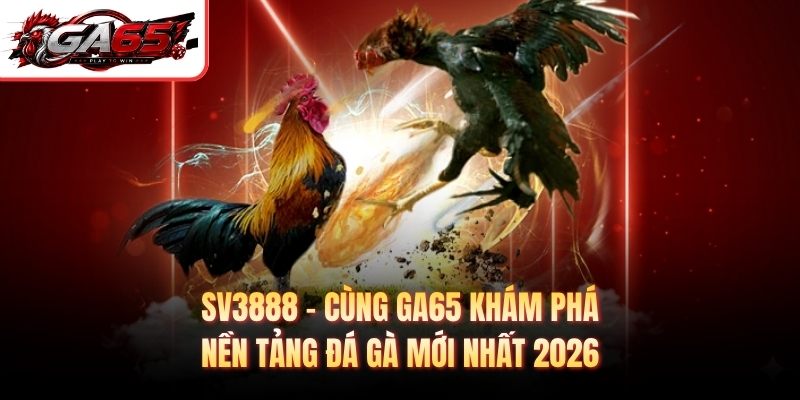 Sv3888 - Cùng GA65 Khám Phá Nền Tảng Đá Gà Mới Nhất 2026