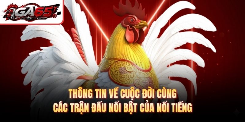 Thông tin về cuộc đời cùng các trận đấu nổi bật của nổi tiếng