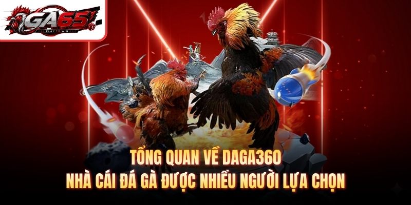 Tổng quan về Daga360 – nhà cái đá gà được nhiều người lựa chọn
