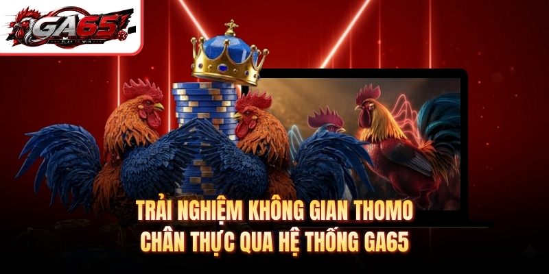Trải nghiệm không gian Thomo chân thực qua hệ thống GA65